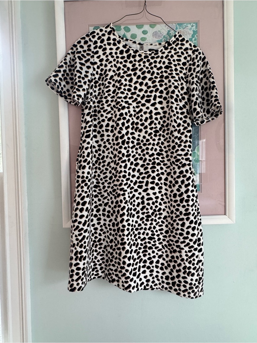 Ann Taylor Black and White Printed Short Sleeve Dress
